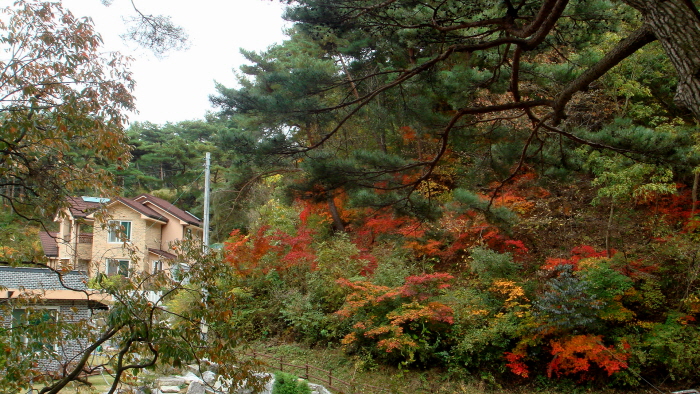 이미지