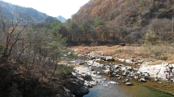 이미지