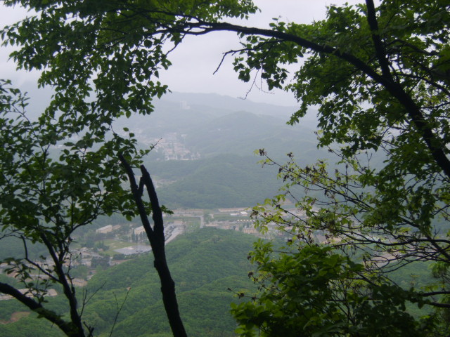 이미지