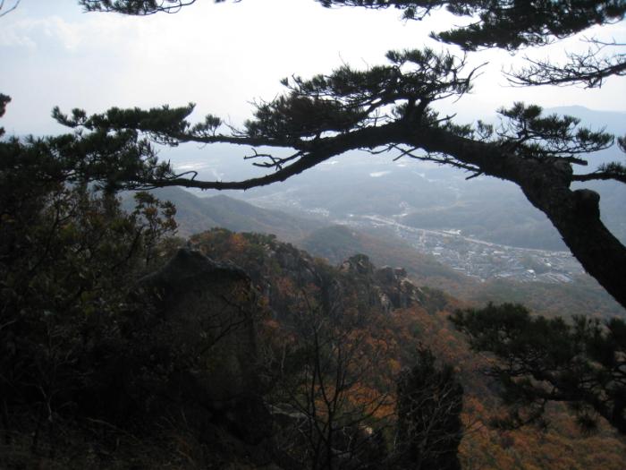 이미지