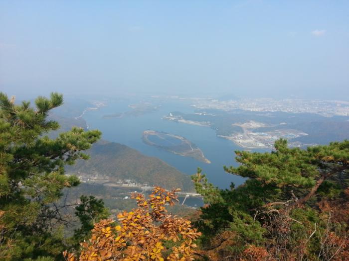 이미지