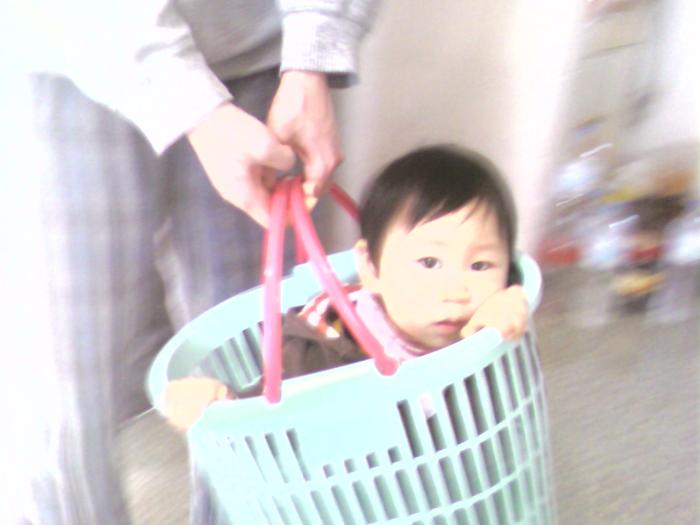 이미지
